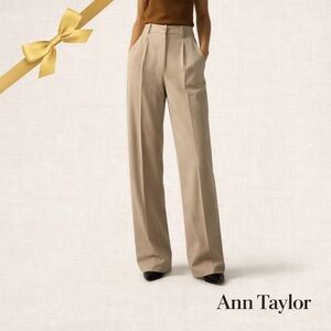 Ann Taylor Beige Linen Wide Leg Pants Sz 14